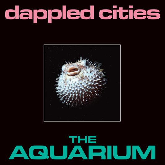 Dappled Cities - The Aquarium - Vinyl & T-Shirt Pack
