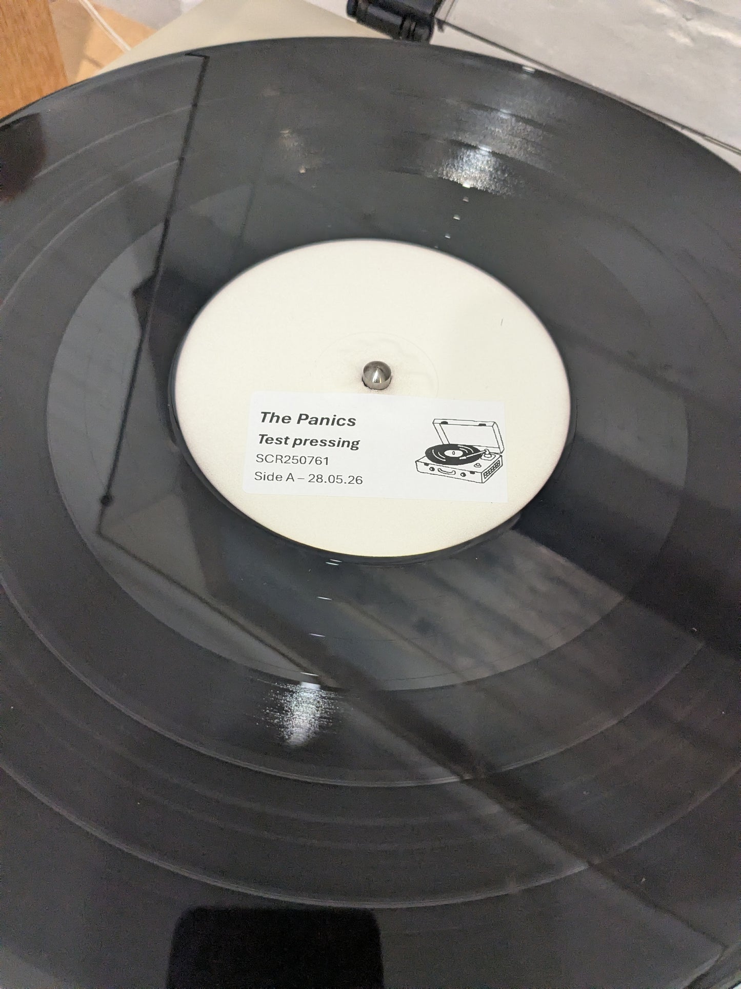 The Panics - Crack in the Wall - Vinyl Test Pressing